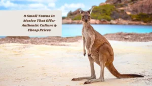 12 Must-See Destinations Every Animal Lover Should Visit