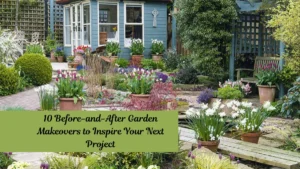 10 Before-and-After Garden Makeovers to Inspire Your Next Project