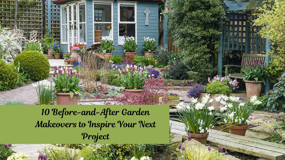 10 Before-and-After Garden Makeovers to Inspire Your Next Project