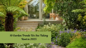 10 Garden Trends We See Taking Root in 2025
