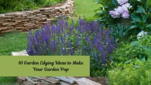10 Garden Edging Ideas to Make Your Garden Pop