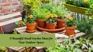 11 Beautiful Small Garden Ideas for Your Outdoor Space