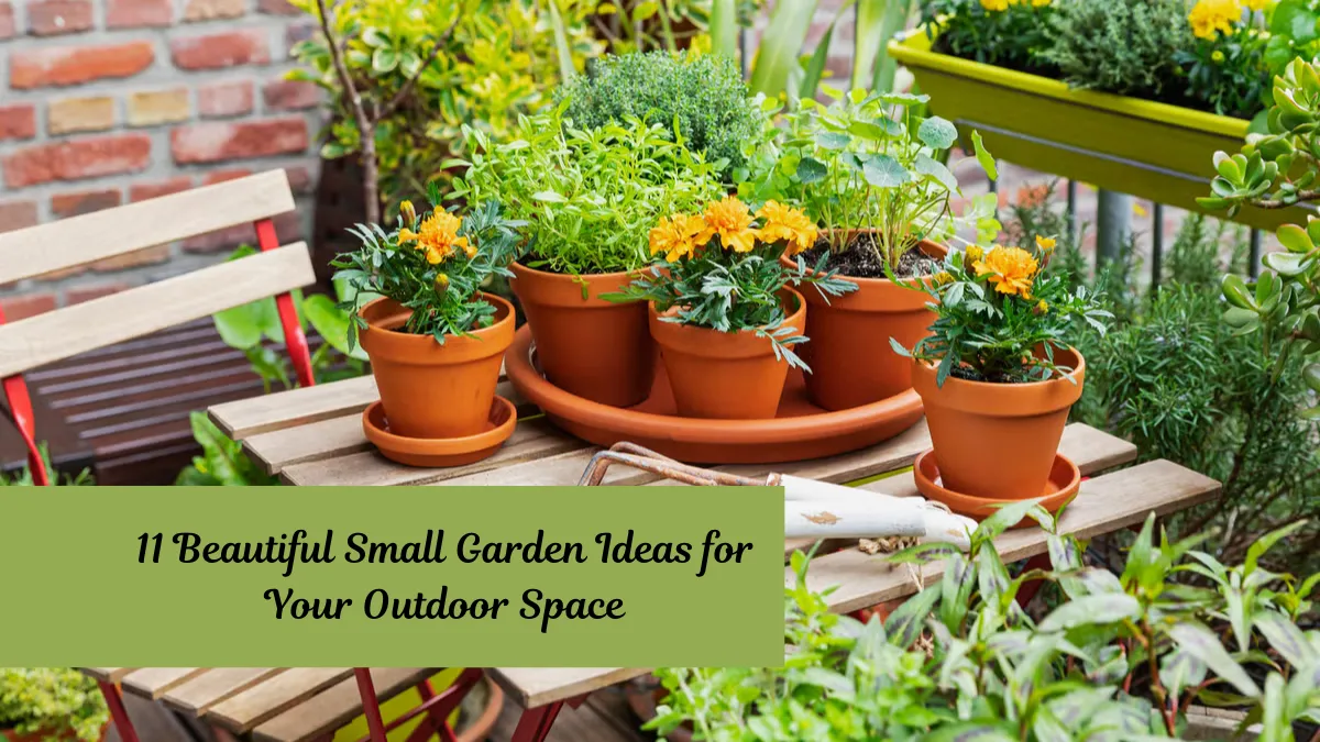 11 Beautiful Small Garden Ideas for Your Outdoor Space