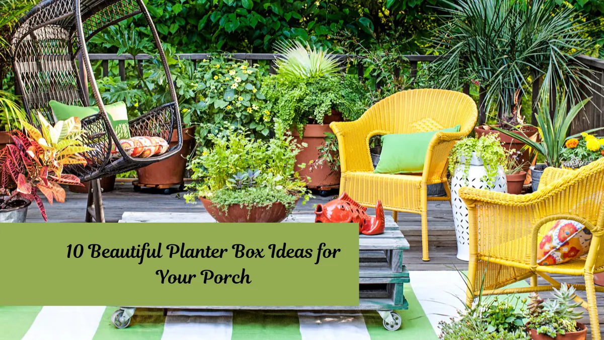 10 Beautiful Planter Box Ideas for Your Porch