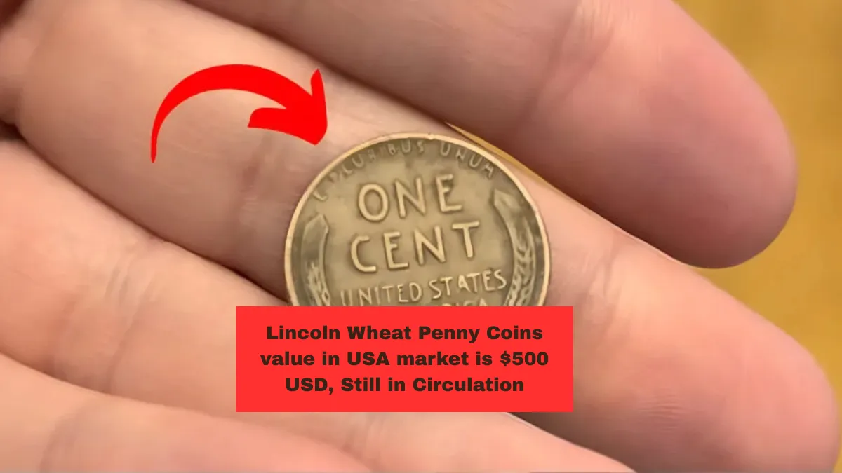 Lincoln Wheat Penny Coins value in USA market is $500 USD, Still in Circulation
